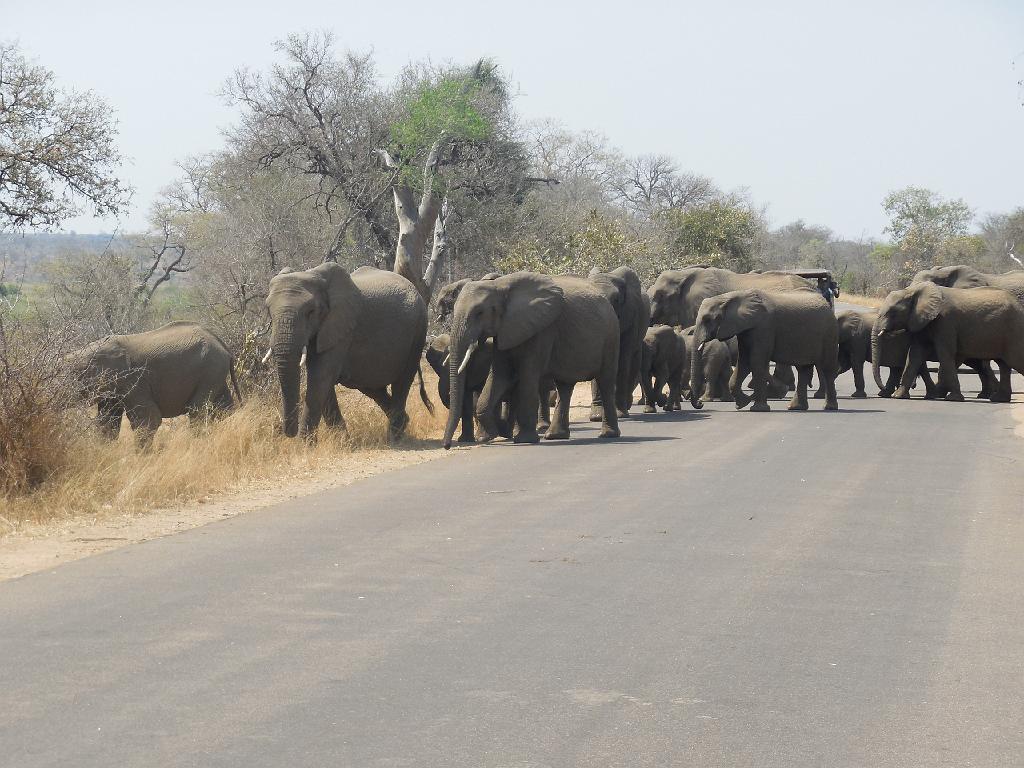 Suedafrika (180)